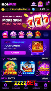 API Integration zzzzbet